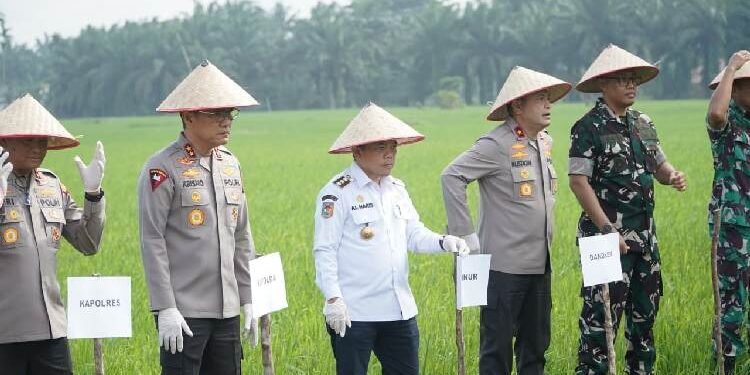 Presiden Prabowo Umumkan Indonesia Swasembada Pangan: Gubernur Al Haris Hadiri Tasyakuran Secara Virtual