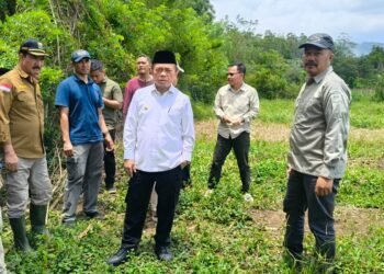 Gubernur Al Haris Tinjau Lokasi Sekolah Rakyat di Kerinci, Disiapkan untuk Kerinci dan Sungai Penuh