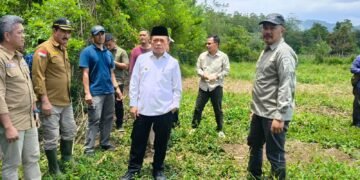 Gubernur Al Haris Tinjau Lokasi Sekolah Rakyat di Kerinci, Disiapkan untuk Kerinci dan Sungai Penuh