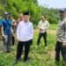 Gubernur Al Haris Tinjau Lokasi Sekolah Rakyat di Kerinci, Disiapkan untuk Kerinci dan Sungai Penuh