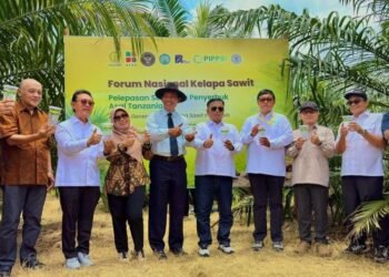 PTPN IV PalmCo Uji Coba Serangga Penyerbuk Asal Afrika di Simalungun untuk Genjot Produksi Sawit