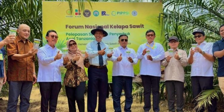 PTPN IV PalmCo Uji Coba Serangga Penyerbuk Asal Afrika di Simalungun untuk Genjot Produksi Sawit
