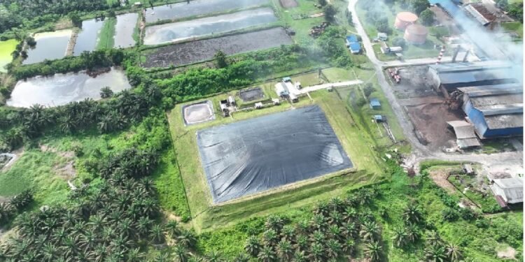 Partisipasi Publik Meningkat, Masyarakat Serap 5.202 TonCO2e dari Proyek Biogas PTPN IV PalmCo