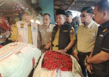 Wagub Sani Sidak Harga dan Stok Bahan Pokok di Pasar Angso Duo