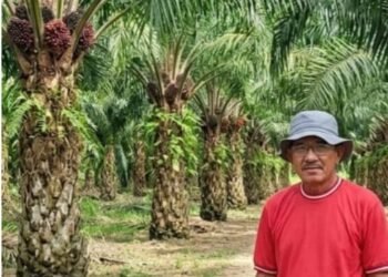 GAB Peduli Ingatkan Sanksi Berat Bagi Perusahaan Sawit yang Tanam di Luar HGU