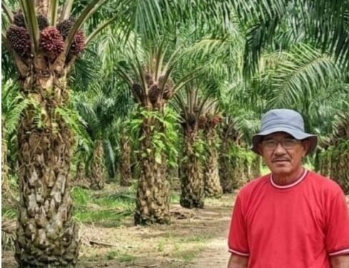 GAB Peduli Ingatkan Sanksi Berat Bagi Perusahaan Sawit yang Tanam di Luar HGU