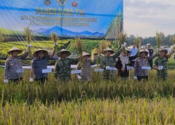 Panen Raya TNI di Tanjab Timur, Al Haris Tegaskan Komitmen Dukung Ketahanan Pangan Nasional