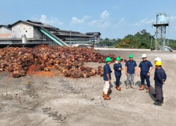 PTPN IV PalmCo Targetkan Kemitraan Sawit Rakyat 64.176 Hektare pada 2029
