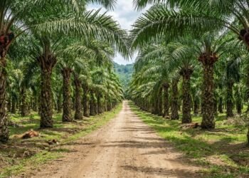 Warga Sei Gelam Tuntut Transparansi Dana Kemitraan Sawit Sebesar 20%