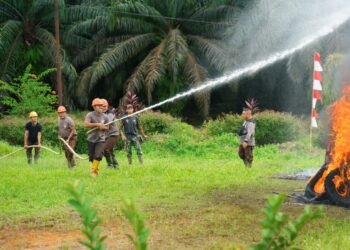 PTPN IV PalmCo Perkuat Pencegahan Karhutla di Kalimantan dan Sumatera