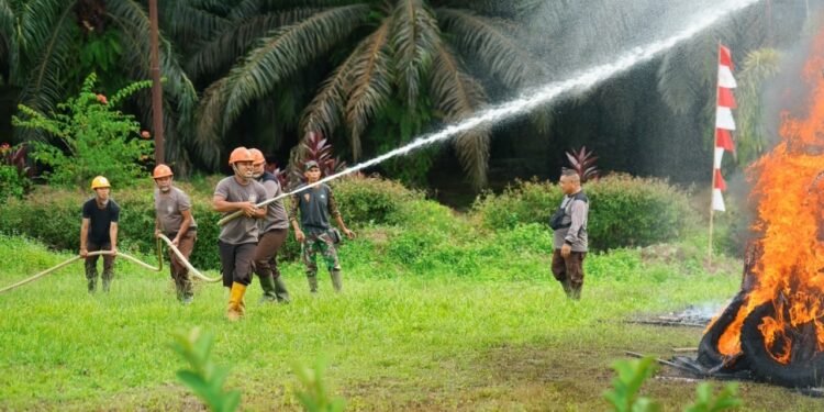 PTPN IV PalmCo Perkuat Pencegahan Karhutla di Kalimantan dan Sumatera